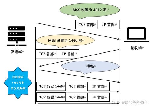 計(jì)算機(jī)網(wǎng)絡(luò)技術(shù)服務(wù) 支撐數(shù)字時(shí)代的無形支柱